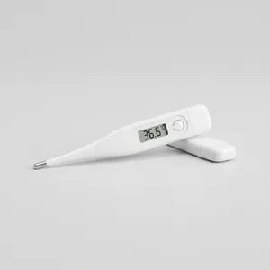 Digital Thermometer